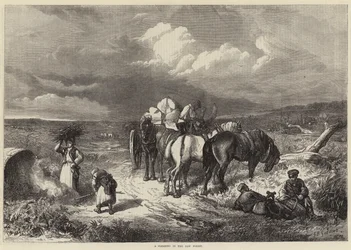 A Clearing in the New Forest